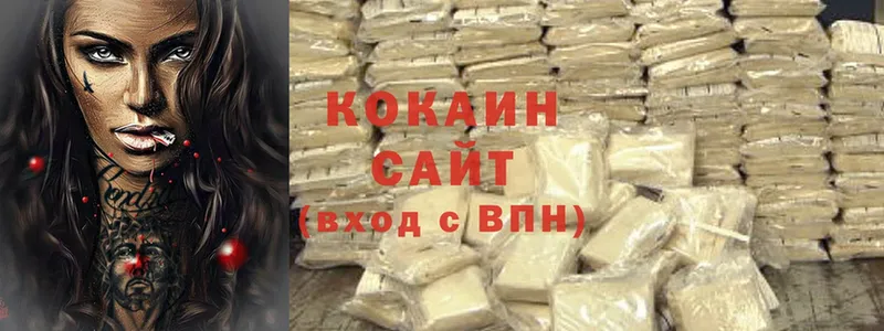 OMG ссылки  Кингисепп  мориарти наркотические препараты  купить  сайты  COCAIN Fish Scale 